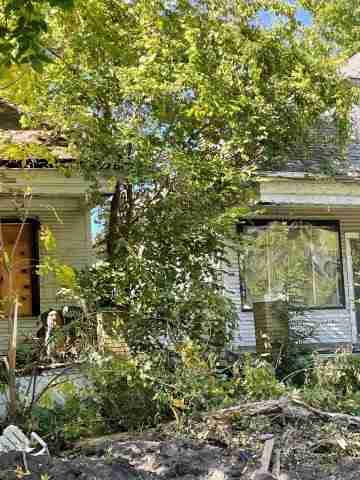 17257 bloom (11).jpg